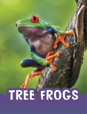 Jaclyn Jaycox Tree Frogs (Gebundene Ausgabe) Animals (US IMPORT)