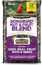 Pride Songbird Nut  Fruit Blend, Wild Bird Seed for outside Feeders, Advanced N