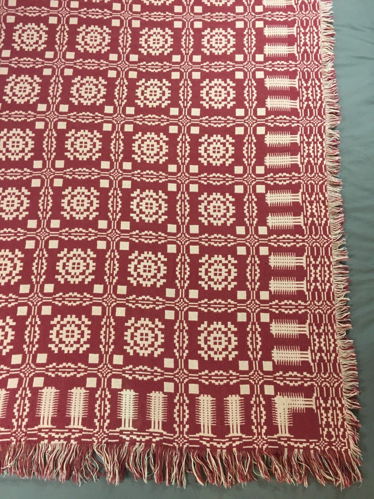 Picture 17 of 24