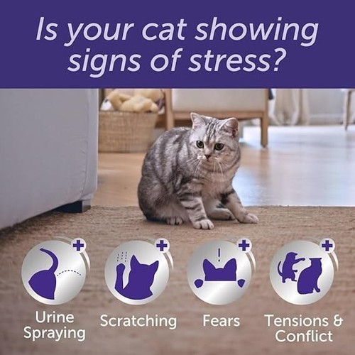 FELIWAY Optimum diffuser & 30 day refill, the best solution to ease cat anxiety - Picture 2 of 12