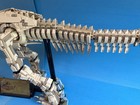 LEGO Jurassic World Dinosaur Fossils Tyrannosaurus Rex #76968 -READ Description! — photo 6