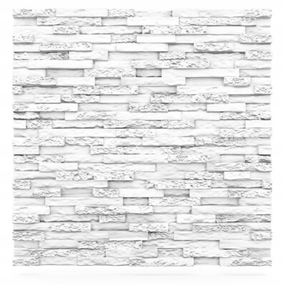 Wandpaneele Wandverkleidung Dekorplatten 3D Steinoptik STONE 60x60cm Weiß Paneel