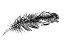 temporary tattoo - Set of two wrist size Feather  approx. 1.5" each 