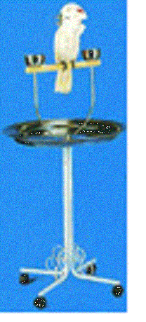Parrot Perch Pet Bird Perch Stand Playgym 28 Stainless Steel T & Cups Parrot Perch Pet Bird Perch Stand Playgym 28 Stainless Steel T & Cups