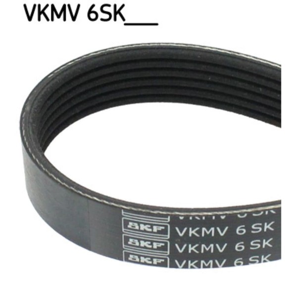 Keilrippenriemen SKF Vkmv 6SK831 FüR Ford Transit-image