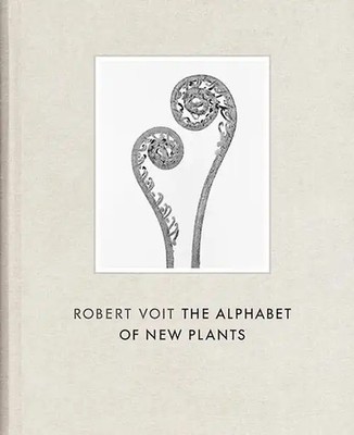 Robert Voit