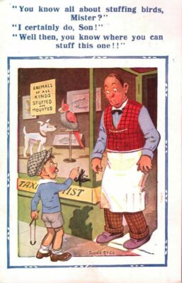Vintage Donald McGill Comic Postkarte Sie wissen, wie Vögel stopfen Mister 