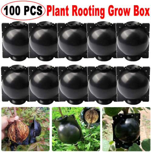 100Pcs Plant Root Grow Graft Ball 5cm Black Reusable High Pressure Breeding Case