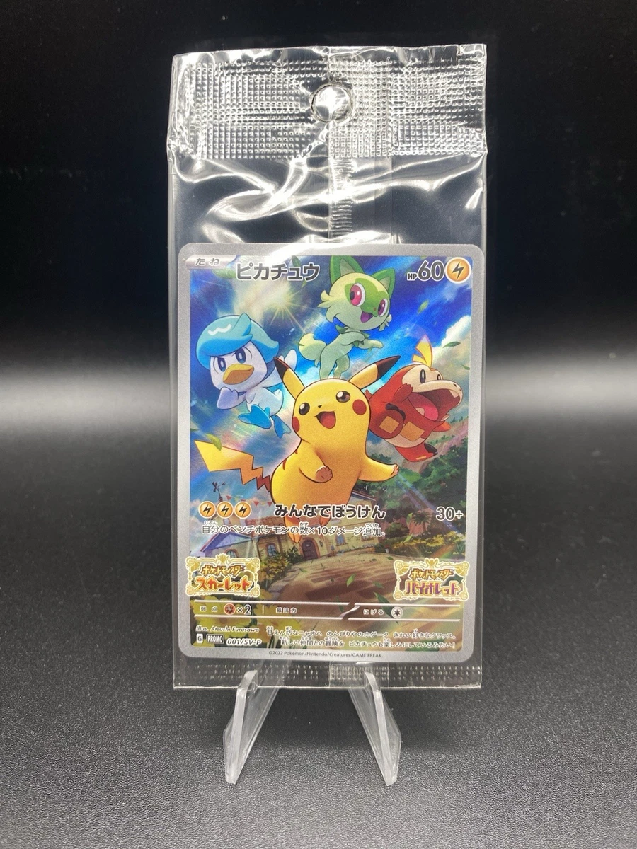Pikachu Pokémon TCG Nintendo Common Individual Collectible Card