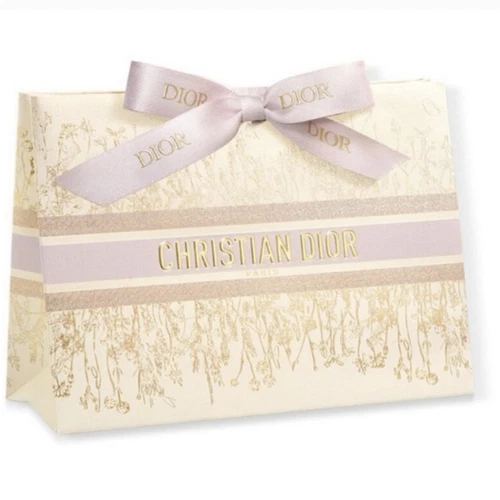 Sac shopping cadeau papier Dior édition limitée 2024 NEUF 10x7