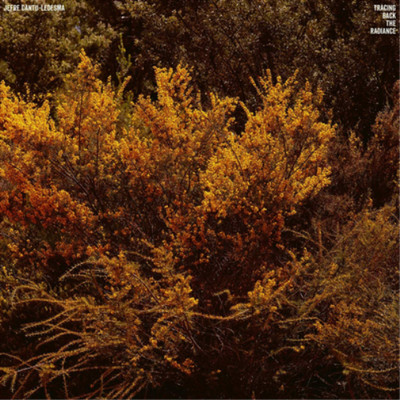 Jefre Cantu-Ledesma Tracing Back the Radiance (Vinyl) 12'' Album