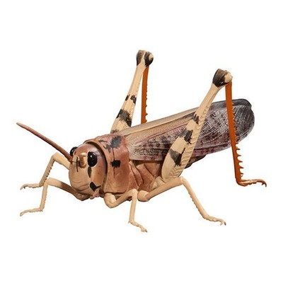 Bandai Gashapon Migratory Locust Action Figure ADVANCE Brown 8.5cm