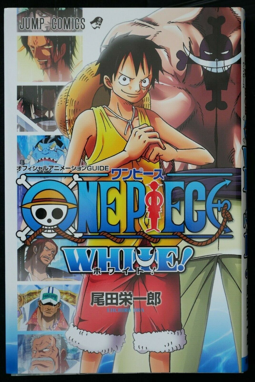 One Piece, Anime Guide