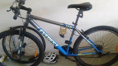everest 29 xcr mountain bike