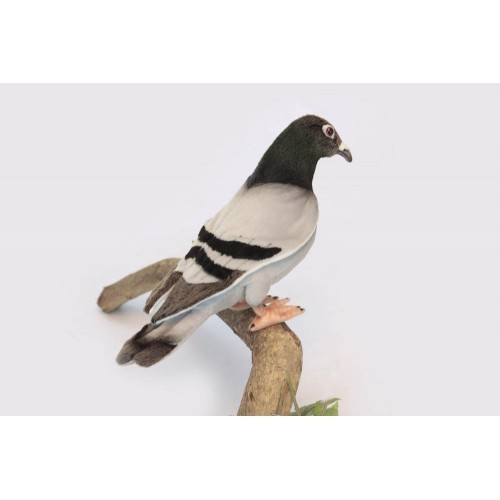 stuffed pigeon toy