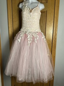 Art Stone Lace & Pink Long Tulle Traditional Ballet Dress Dance Costume SA