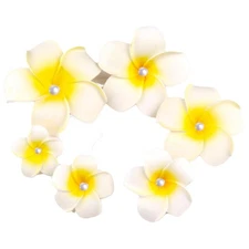 6Pcs White Hawaii Plumeria Flower Clips Pearl Hawaiian Flower Hair Barrettes ...