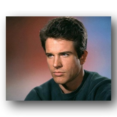 Warren Beatty Photo 8x10 Color Portrait 1964 Studio