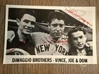 Joe Dom Vince DiMaggio autographed 4 1/2 x 7 photo