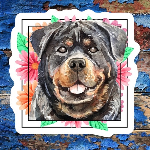 Süßer wasserdichter wetterfester Vinylaufkleber | Rottweiler Rottie Hund | Welpe - Bild 2 von 8