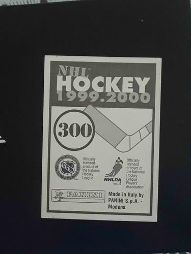 Panini NHL Hockey 1999 2000 99 00 ELIGE CUALQUIER PEGATINA CASI NUEVA/COMO NUEVA #201-360# - Imagen 183 de 297