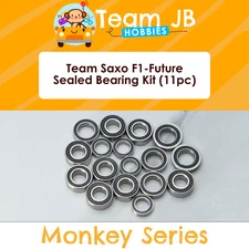 Team Saxo F1-Future - 17 Pcs Rubber Sealed Bearings Kit