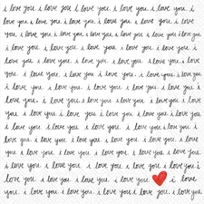 Boston International IHR 3-Ply Paper Napkins, 20-Count Lunch Size