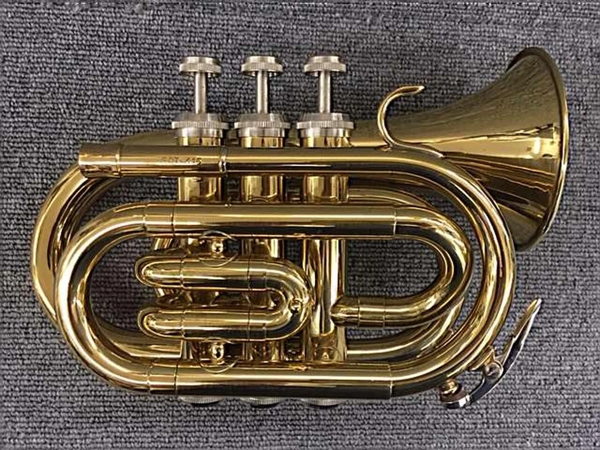 J.Michael / TR-350PL Jay Michael pocket trumpet Used