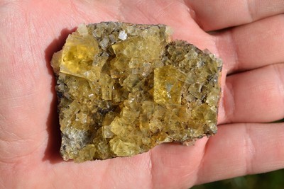 Yellow Fluorite Crystals Matrix Specimen Dow Scar Level Hilton Mine England Rare