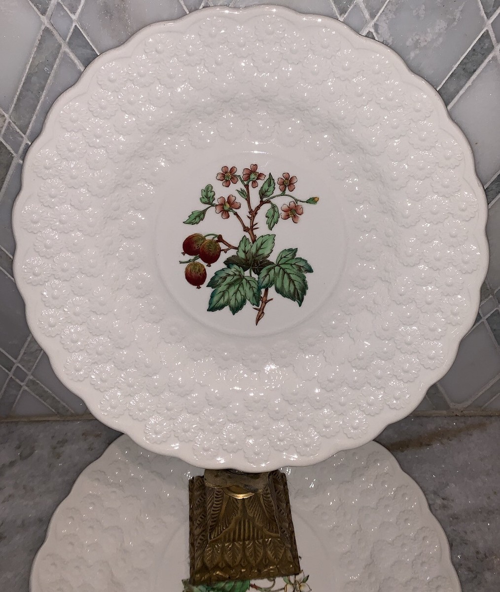 Spode Canterbury 希少フルーツ皿6枚 Vtg Copeland Spode Set 6 Botanical Berries Fruit Floral Plates