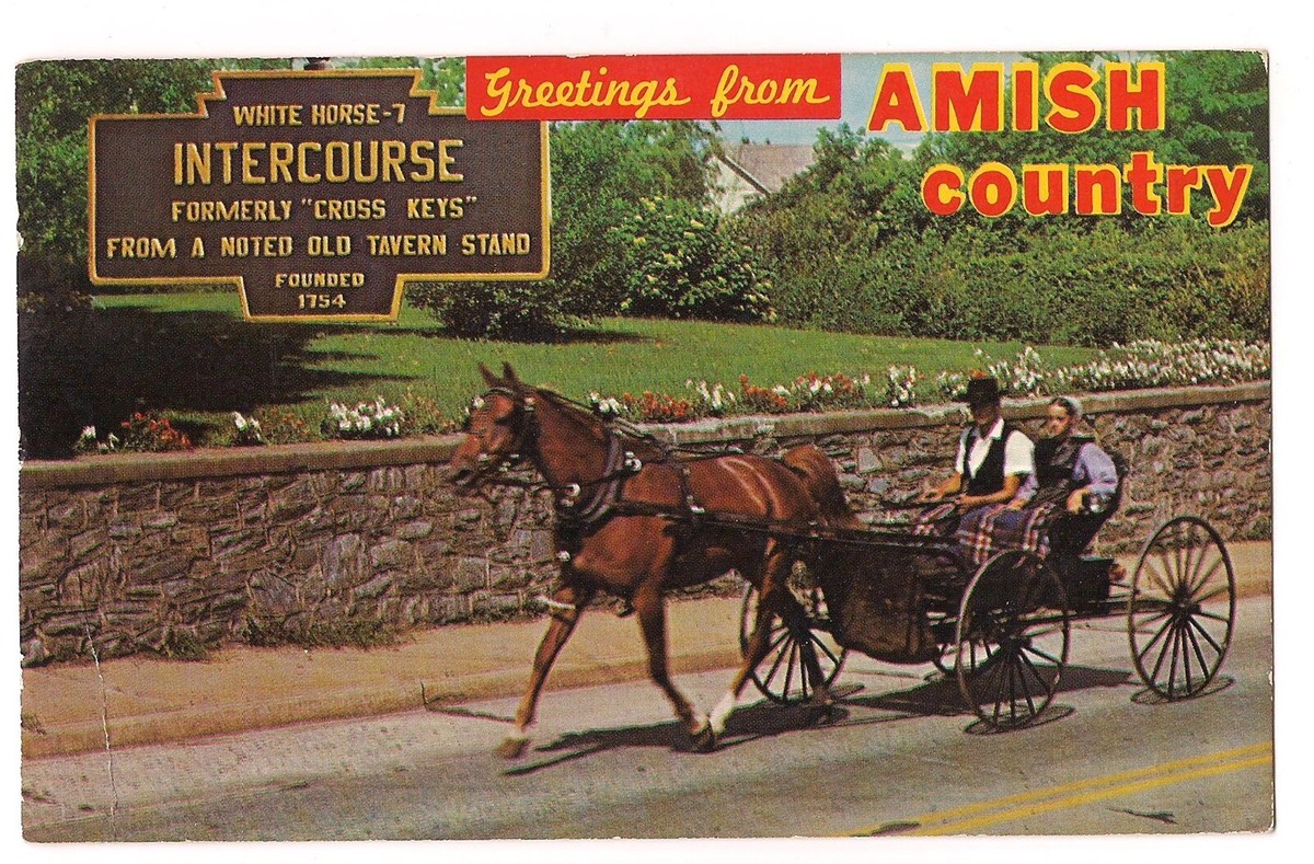 INTERCOURSE Cross Keys SIGN Amish Country Horse Buggy PA Postcard 1974
