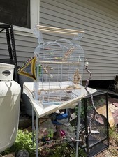 White Metal Dometop Bird Cage with Perches and Pull-Out Tray