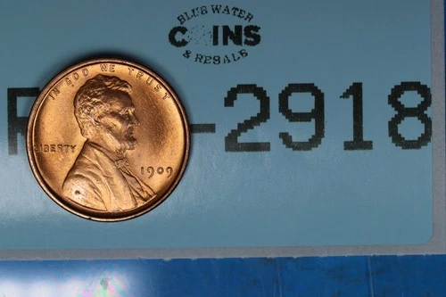 1909 RED BU DETAILS 1c LINCOLN WHEAT BACK CENT PENNY RAW-2918