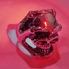Silver Tone Skull-Shaped Stainless Steel Band...