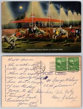 Greyhounds Taking Hurdle Florida Track Postcard