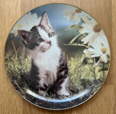 Danbury Mint Sammler Teller TUPPENCE - TINY TREASURES Kätzchen Katze 21CM