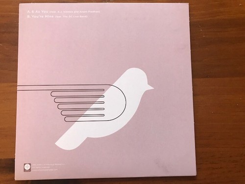 RARE DIANE COFFEE VINYL 7" POLYVINYL 4-TRACK SINGLE SERIES ONLY 500 MADE INDIE - Imagen 2 de 2