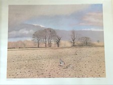 John Reaney - Limited Edition Print Grey Partridge  61/500
