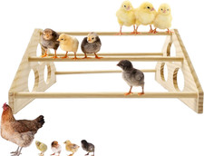 Chick Perch Chicken Coop Toys and Accessories,Chick Roosting Bar,Brooder for ...
