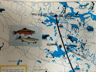 c 1970 Plummer's Great Bear Lake Lodge Manitoba Brochure MAP Vintage FISHING — photo 8