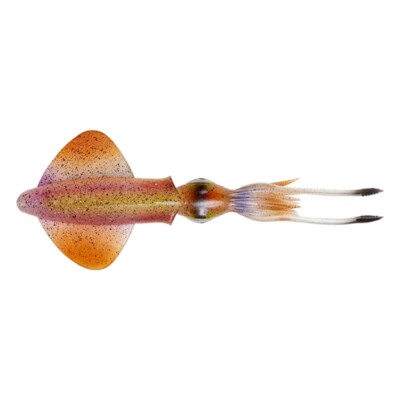 Calamaro Savage Gear 3D Lb Swim Squid 25cm 86gr