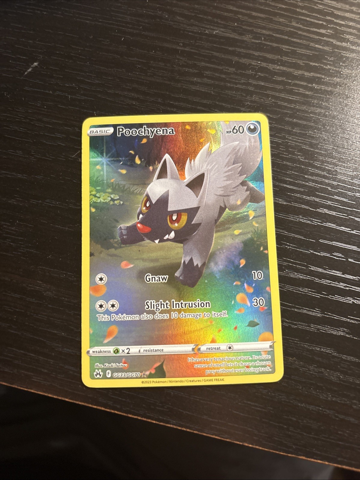 Pokémon TCG Crown Zenith Poochyena GG33/GG70 Full Art Ultra Rare Holo NM/M