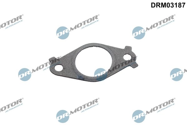Dr.Motor Automotive Dichtung, Leitung Agr-Ventil DRM03187 FüR Mazda-image