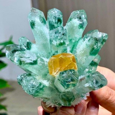 355G Newly discovered green+yellow phantom crystal quartz cluster mineral healin