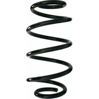 Spidan 87297 Fahrwerksfeder FüR Mercedes Benz B Klasse GLA W246 W242 X156