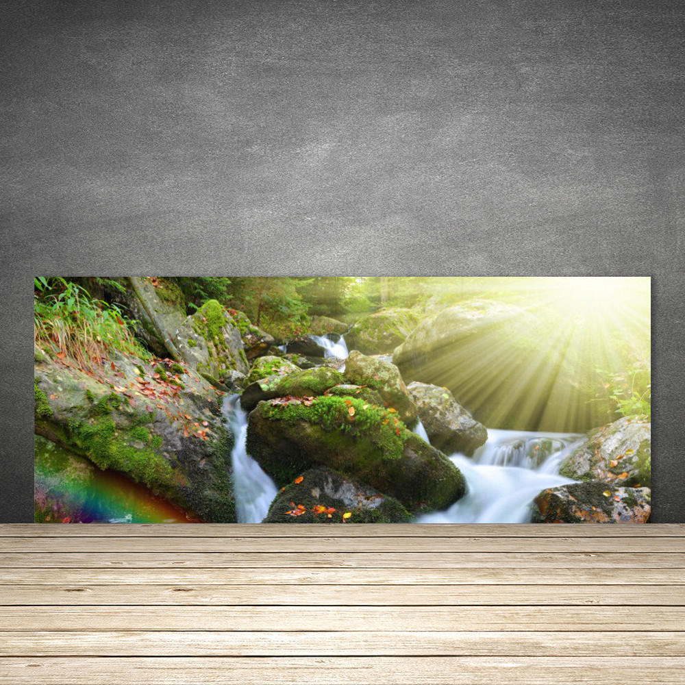 Crédence en verre de cuisine 125x50 cm anti-éclaboussures et facile à nettoyer motif nature