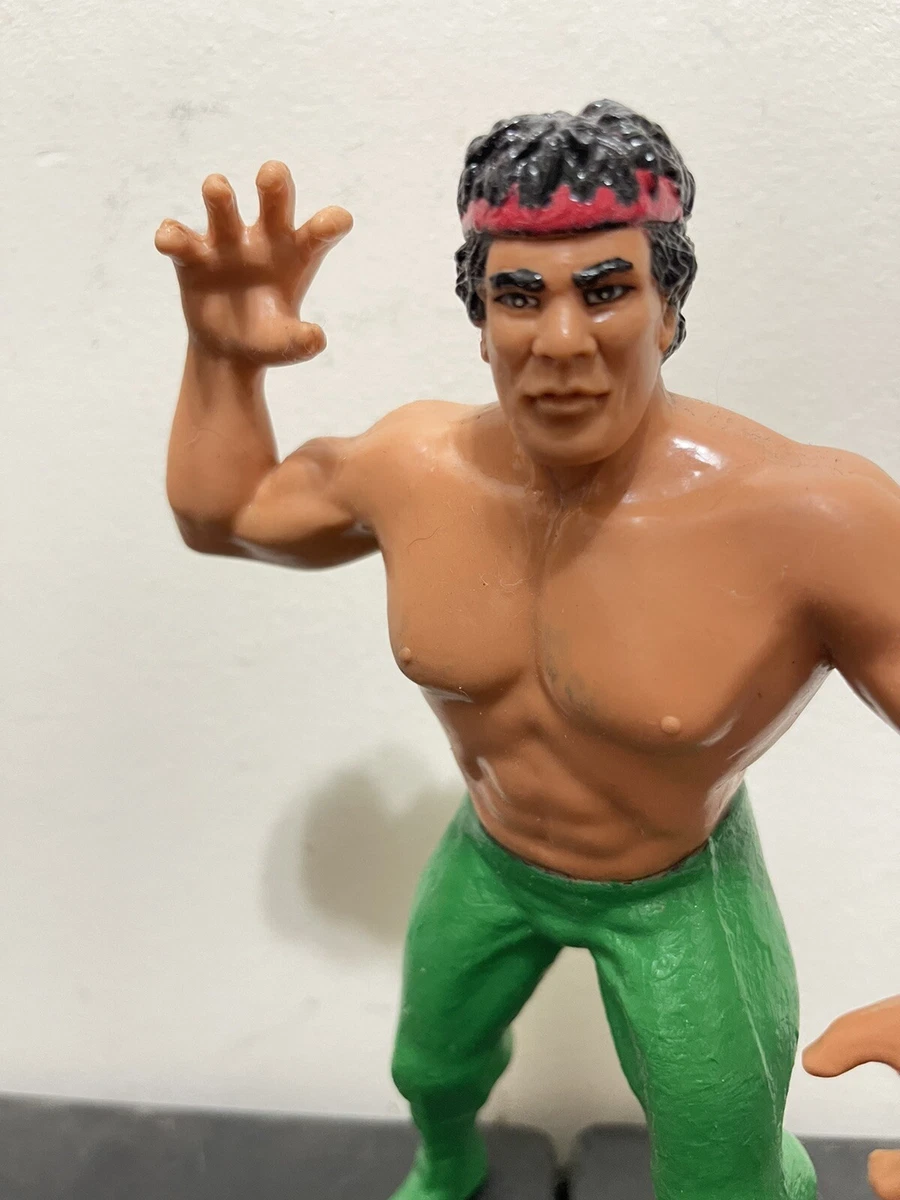 Painting ljn best sale wrestlers