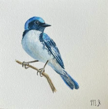 Original Bird Painting Blue Bird   Artwork Watercolor bird painting Realism