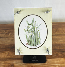 Vintage Wooden Flower Press Kit Complete Botanical Craft Instructions