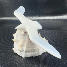 Crowning Touch Seagull Shorebird Beach Crown Conch Seashell Sculpture Figure USA